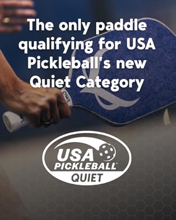 owl paddle; owl paddle pickleball; professional pickleball paddle; franklin x-40 pickleball balls