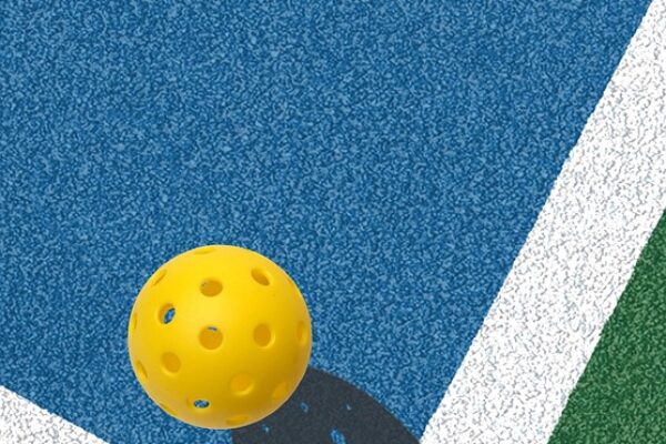 pickleball-6940609_960_720.jpg pickleball-6940609_960_720.jpg